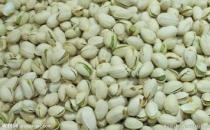 怎样挑选开心果