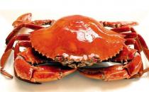 怎么吃螃蟹最营养？吃螃蟹的三个最佳搭档