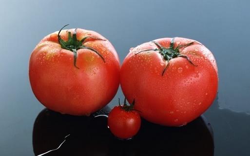 大小番茄有什么区别?怎么吃西红柿更营养?-36