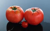 大小番茄有什么区别？怎么吃西红柿更营养？