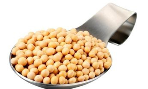 转基因大豆真的致癌吗?