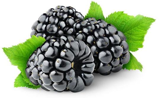 黑色食物更有利于女性健康哦!