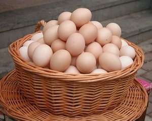 哪种蛋类的营养价值更高