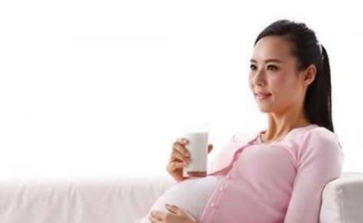 适合孕妇的营养汤水：菊花汤的做法