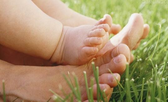 产后营养食谱：鲤鱼粥的做法