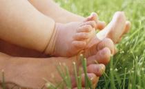 产后营养食谱：鲤鱼粥的做法