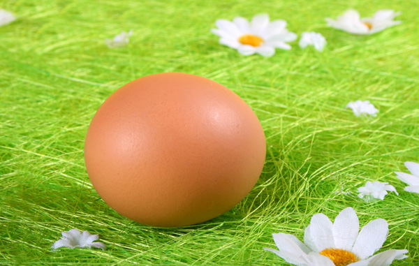 如何健康吃鸡蛋 还是煮熟再吃好
