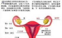 女人必须知道的经期秘密 让你受益无穷