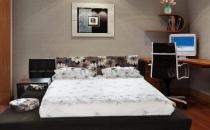 正确的摆放床的方位对睡眠有好处