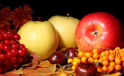 孕吐危险吗?孕吐怎么办?