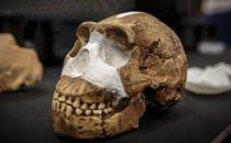 南非发现新人种骨骼化石，改变人类物种认知