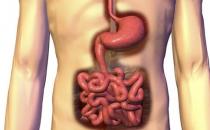  如何缓解肠胃疾病？