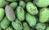 减肥期间不可以吃哪些水果