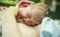 初乳要早吃 增强宝宝免疫力