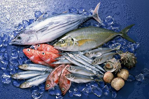 五种常吃的鱼的营养价值