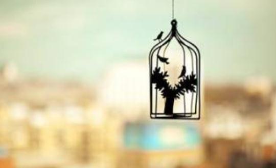 夫妻之间撒谎对婚姻破坏性极大！