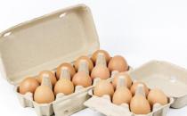 14种食物堪称“脑黄金”