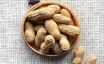 中学生补脑吃17种食物