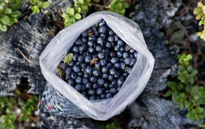 女性丰胸先来了解你的胸部秘密