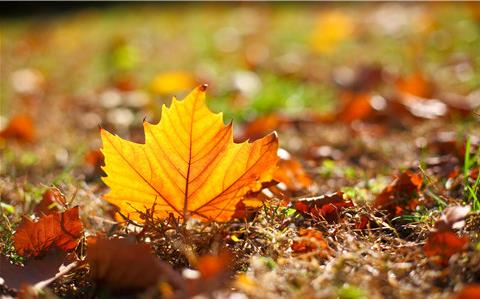 秋季糖尿病人要注意6个饮食习惯