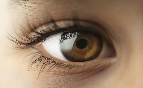 吃什么保护眼睛 上班族保护眼睛5要诀