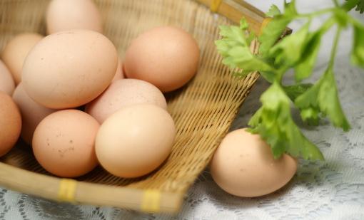 吃什么食物能够补脑？鸡蛋能健脑