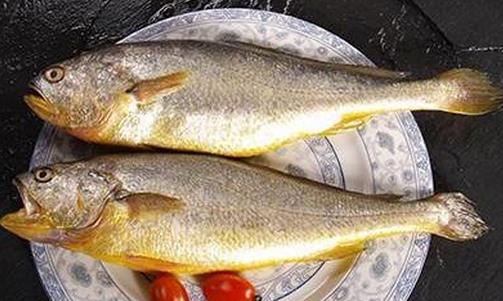 黄花鱼有什么营养价值？孕妇能吃黄花鱼吗？