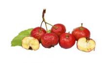 五种食物美白祛斑 效果杠杠的