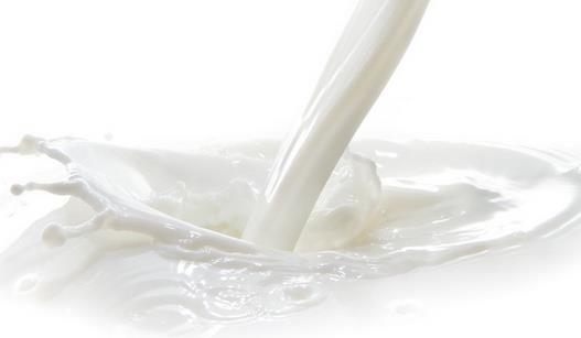 独创小窍门辨别纯鲜牛奶-360常识网