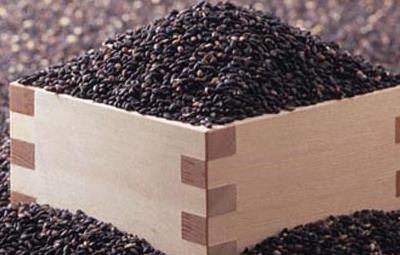 有益于黑发的八种食物