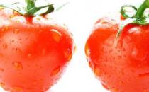 西红柿的功效与食用禁忌
