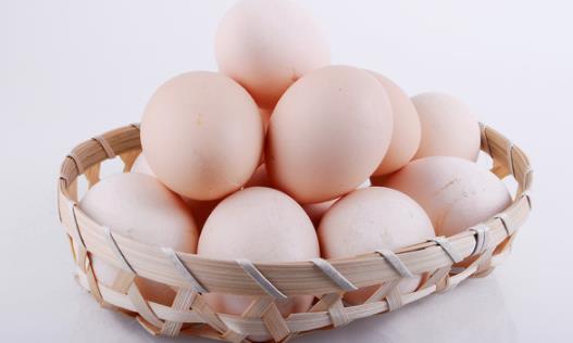 洋鸡蛋营养也高 鸡蛋并非“越土越好”？