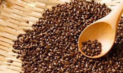 喝决明子有什么好处?决明子的功效