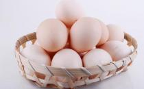 洋鸡蛋营养也高 鸡蛋并非“越土越好”？