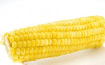 玉米可以防治多种疾病