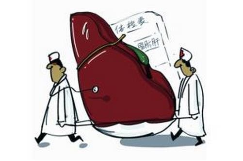 脂肪肝吃什么好？脂肪肝的饮食方案