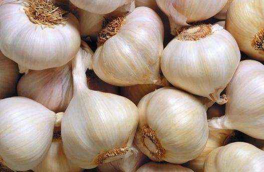大蒜能治疗阳痿?盘点大蒜的养生功效