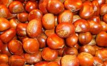 板栗怎么保存才好？炒板栗怎么做？