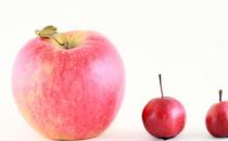 苹果能治疗前列腺炎吗