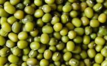 吃什么去湿？盘点10种清热去湿的食物