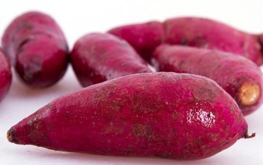 紫薯的营养功效介绍