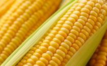 吃什么健脾养胃？4大保护脾胃健康的黄色食物