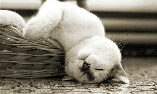 如何治疗经常头晕?头晕的原因