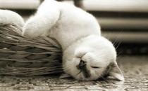 如何治疗经常头晕？头晕的原因