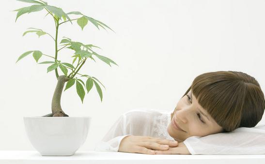 头皮屑多怎么办?头皮屑多的原因