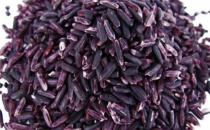 紫米有什么营养？紫米怎么吃营养？
