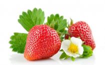 盘点草莓的8大养生作用