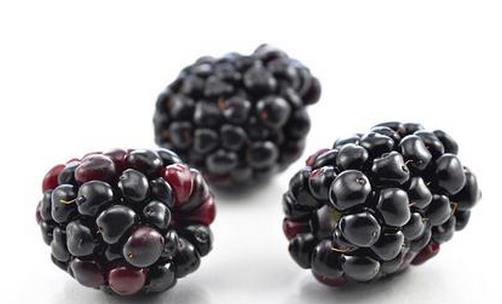 女性补肾吃什么水果最好?