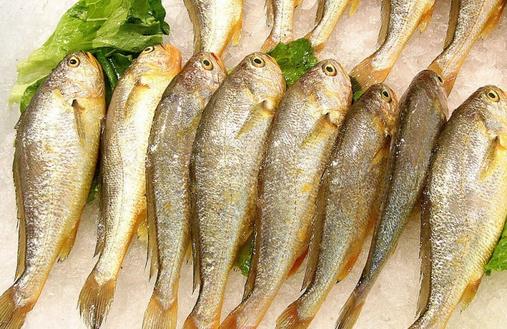 冬季吃哪种鱼好？盘点最适合冬季进补的9种鱼