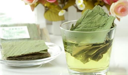 喝茶可以降血压吗?推荐10种降压养生茶